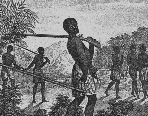 slave-selection|Atlantic slave trade